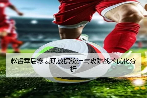赵睿季后赛表现数据统计与攻防战术优化分析